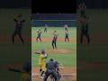 “Don’t Stop the Party” Pitbull In-Game Dance | Party Animals #shorts #partyanimalsbaseball #dance