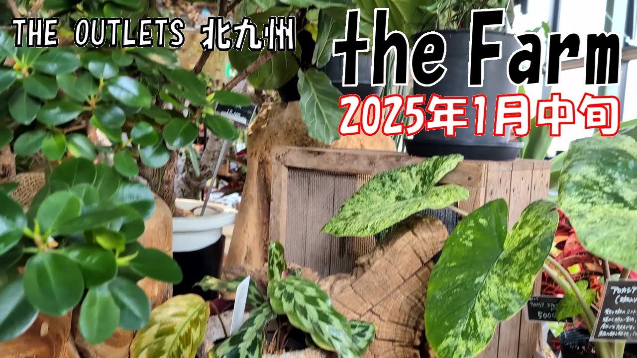 【大型園芸店】2025/01 ジ・アウトレット北九州 ザ・ファーム/ファーマーズキッチン