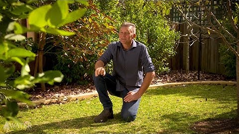 Choosing the right irrigation controller