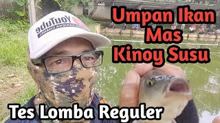Toturial Umpan Kinoy Susu Umpan Ikan Mas#umpanputih#umpankukus#diraciklangsungtes