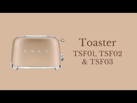 Vidéo 1