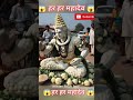 "Phool Gobhi Se Bana Mahadev! Gaon Ki Bhakti Ka Anokha Roop 🙏😲"#youtubeshorts