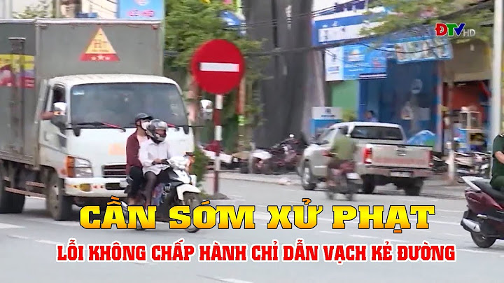 Mức phạt lỗi không chấp hành vạch kẻ đường năm 2024