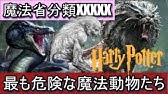 ハリーポッター 動物もどきになる方法 解説 まとめ Youtube ハリーポッター 動物もどきになる方法 解説 まとめ Youtube