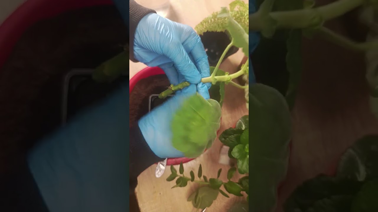 1 марта 2026 г.