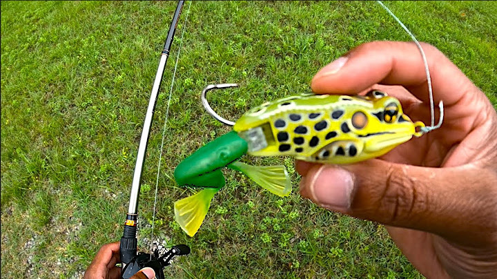 Bass Bit the Legs Clean Off My Frog Lure – I Was Shocked