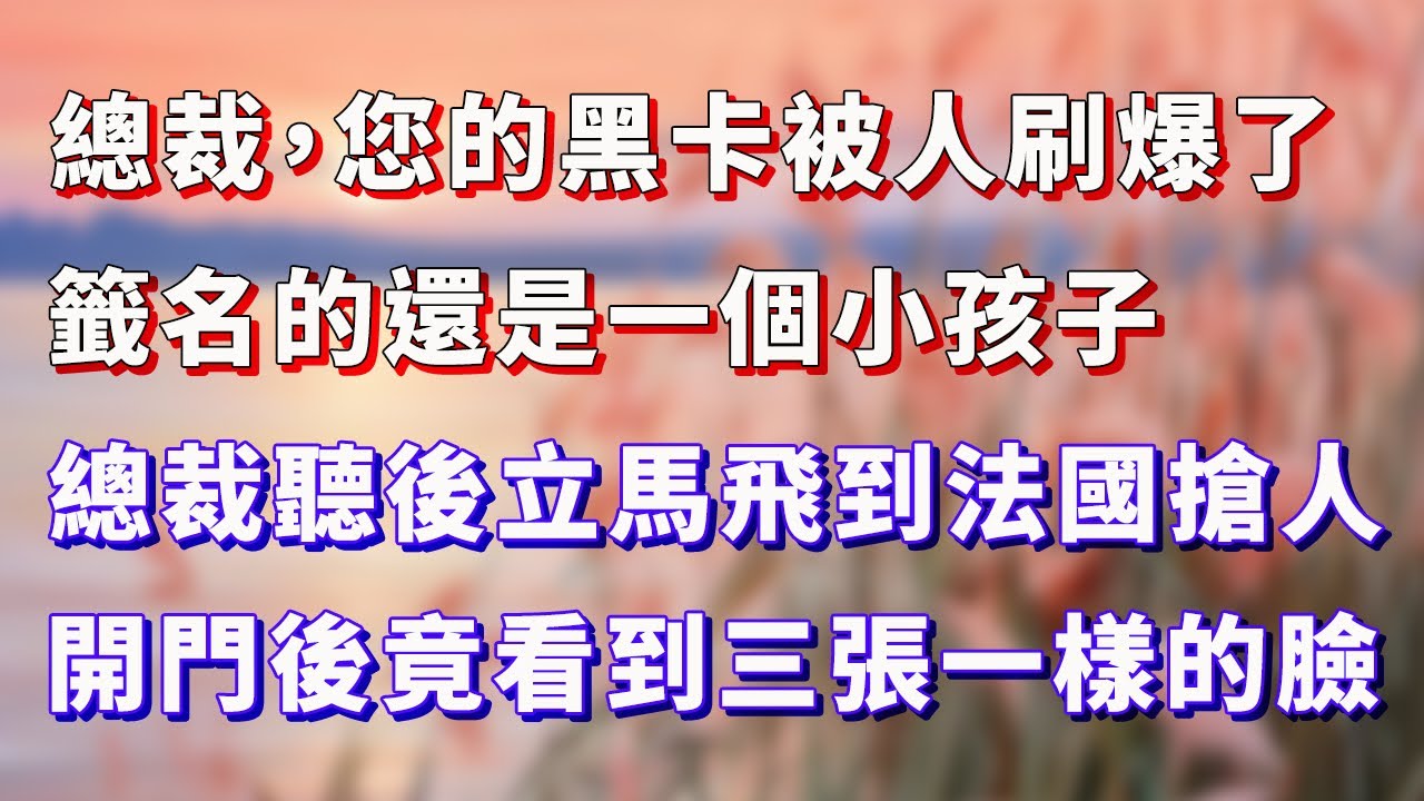 總裁，您的黑卡被人刷爆了，簽名的還是一個小孩子，總裁聽後立刻飛到法國搶人，開門後竟然看到三張一樣的小臉