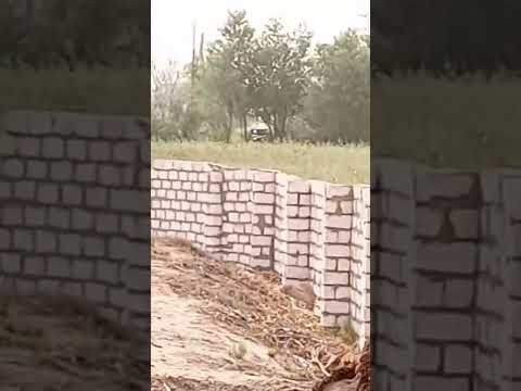 والله العظيم مبشحت ادعموني علشان اشتري جهاز جديد