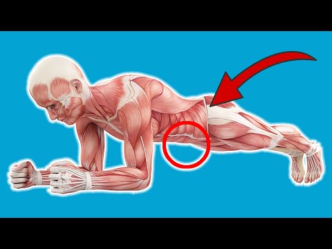 Do 100 Push Ups EVERY DAY and THIS will happen to your Body 💥 (Amazing) 🤯