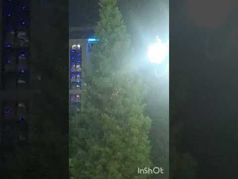ای سینگه جانم فدا مهر درخشان وطن