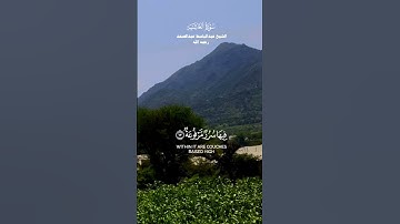 ﴿ لَّا تَسْمَعُ فِيهَا لَاغِيَةً﴾ _تلاوة من سورة الغاشية _الشيخ عبدالباسط عبدالصمد رحمه الله_ quran