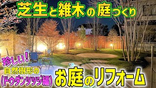 【これは珍しい！】自然樹形のドウダンツツジの樹形、掘り起こし、簡単植え付け方法をご紹介！