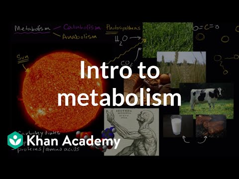 Introduction to metabolism: anabolism and catabolism | Khan Academy