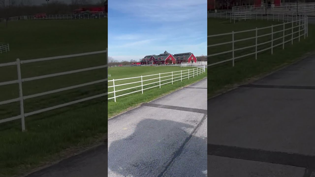Driving A Budweiser Team At Warm Springs Ranch Clydesdale Riding Horse Missouri