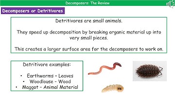 OCR Gateway A B4.1.8 - Decomposition
