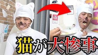 ドラゴンボール超 最終回 エンディング Youtube