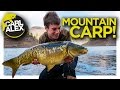 CARP FISHING in the MOUNTAINS of Gran Canaria