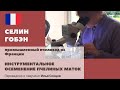 Инструментальное осеменение: отбор маток, осеменение, посадка в Мини+ (Селин Гобэн)