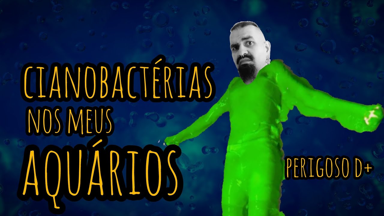 Cianobactéria - Não faça como eu! - Aqua Gama - Rick Gama 