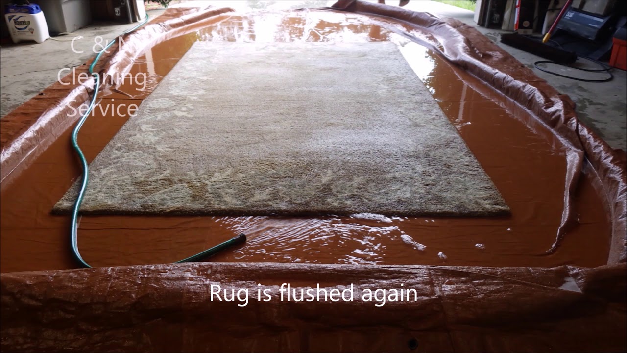 How To Get Urine Stains Out Of Wool Rug at Christina White blog