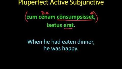 Pluperfect Active Subjunctive