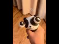 My nephew bought me a staring panda for a few yuan. Ahaha, he has good taste