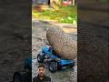 #shorts #toys #video #car #rc #batu #besar Rc Tes Lewati Batu Besar