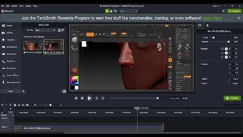 45 Face Components Imm Brush
