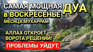 :        ! , , , !