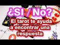 💕🌼SI 👍No ?🤭 El tarot te ayuda a encontrar una respuesta!!🌹🌺💚💙💕