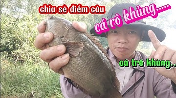 Chia sẻ điểm câu/ cá rô khủng/cá trê vàng/ trê lai khủng,con kênh đầy bất ngờ....