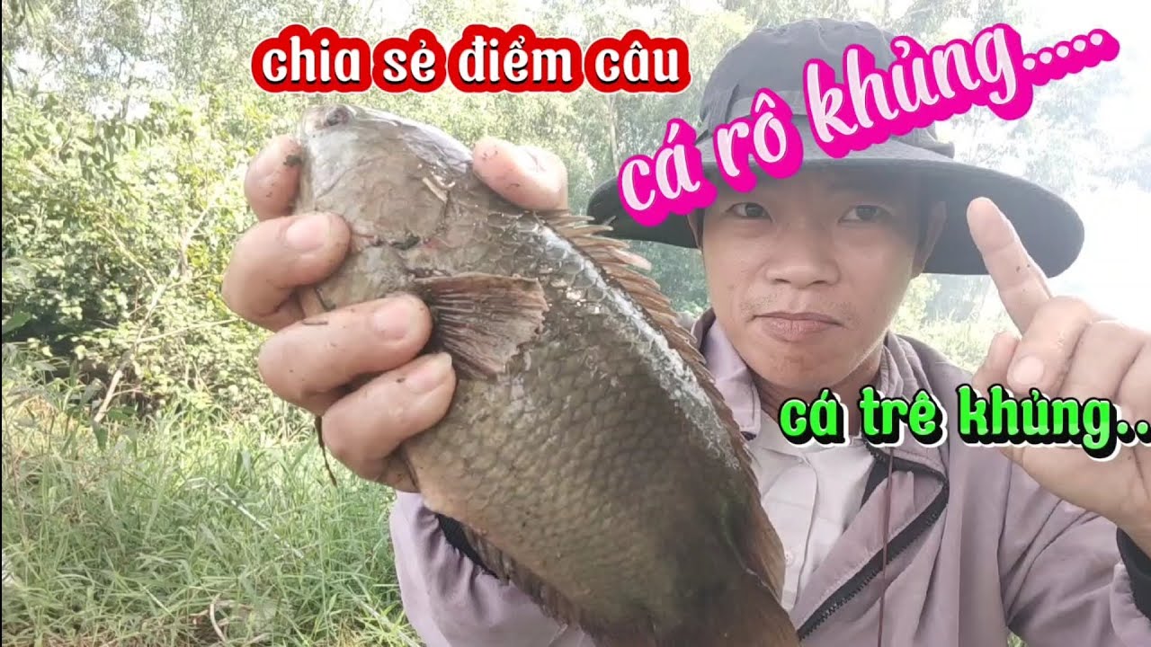 Chia sẻ điểm câu/ cá rô khủng/cá trê vàng/ trê lai khủng,con kênh đầy bất ngờ....