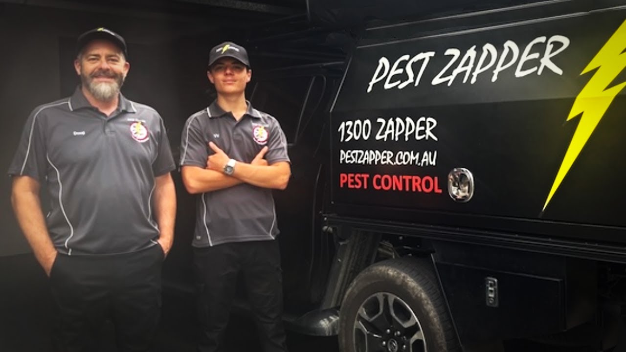 Pest Control - What To Expect?