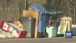 Yard waste pick-up in Springfield begins