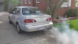 My Toyota Corolla burns more oil than yours.