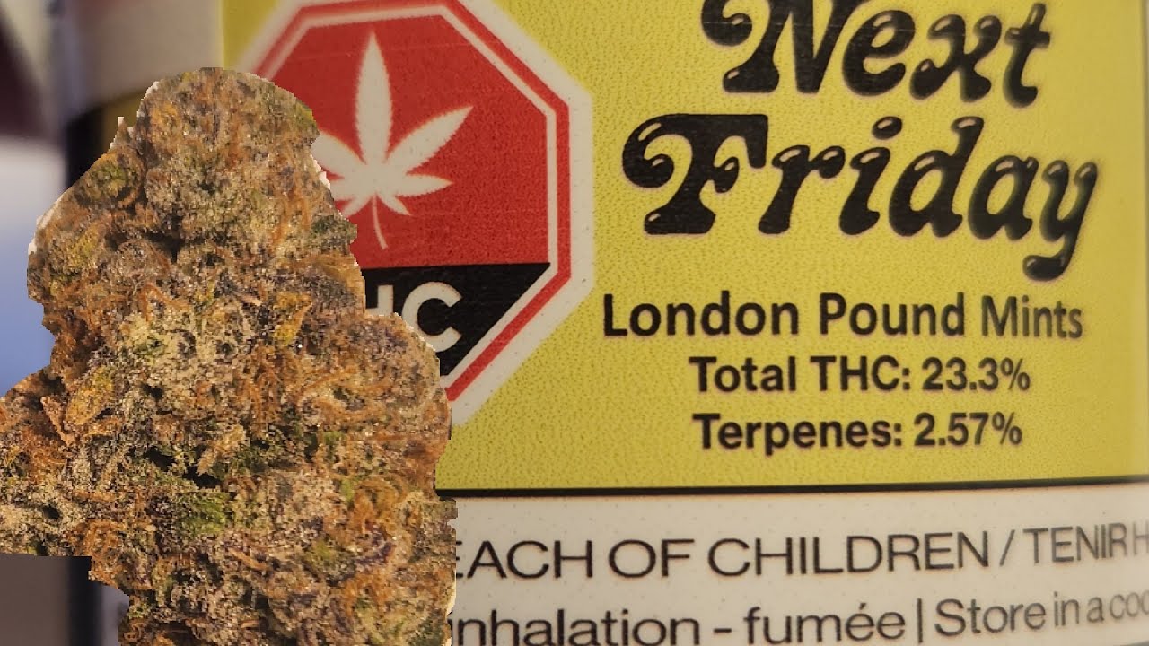 London Pound Mints by Next Friday - /30 Review