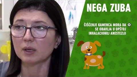 KAKO SE SKIDA ZUBNI KAMENAC 2