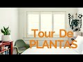 Tour De Plantas De Interior (En Vivo)