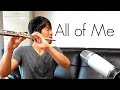 John Legend - All of Me Flute Cover