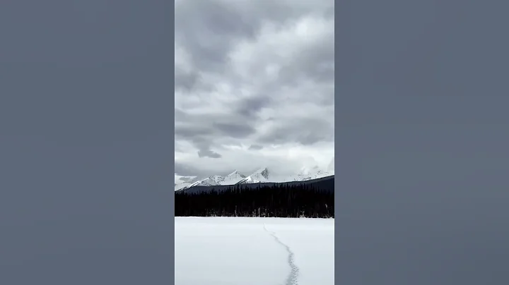 Quiet Morning Hikes in Yoho National Park.
