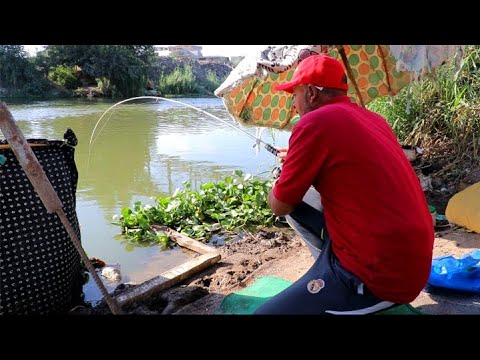 متعه صيد سمكة البلطى بالغلة