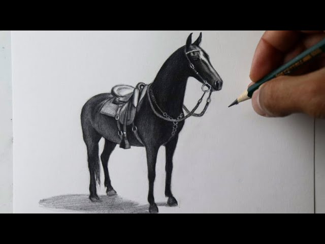 Desenho de cavalo realista que fiz a um tempinho😊
