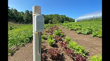 Small Farms, Big Gains—How to Optimize Water Management to Boost Crop Yields & Quality