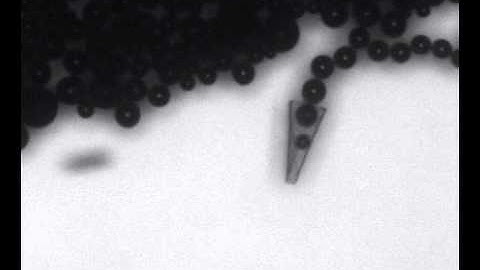 [IBEC] Smart nano-bio-devices group - stop of flexible swimmers