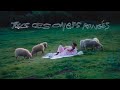 Miniature de la vidéo de la chanson Tous Ces Ongles Rongés