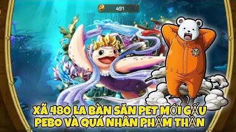 Huyền Thoại Hải Tặc - Xã 480 La Bàn Săn Pet Mới Gấu Pebo Và Quả Nhân Phẩm Thần