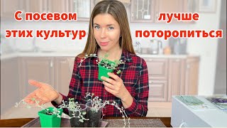 :    ?       
