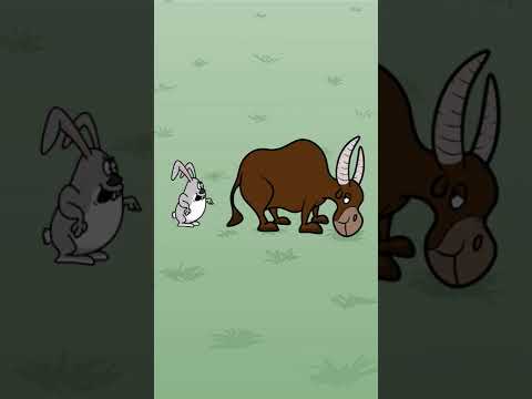 Заяц и бык #мультфильмы #анимации #прикол #животные