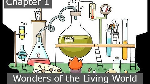 Science (English medium) - Grade 6 Chapter 1 (Part 1) -Wonders of the Living World