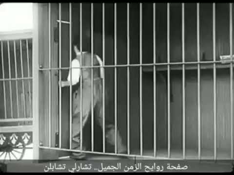 شارلي شابلن في بيت الاسد